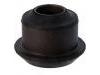 Control Arm Bushing:54542-HA001