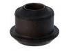 Control Arm Bushing:54542-HA001