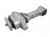 Engine Mount:21950-1J300